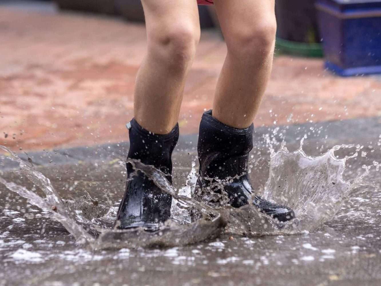 Kids Gumboots | Black Size 7 kids  only (small) image 3
