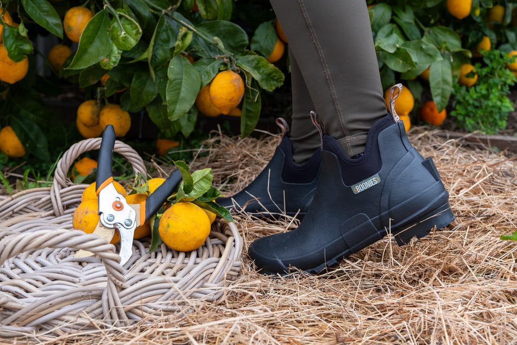 Rosie Low | Ankle Boots | Black