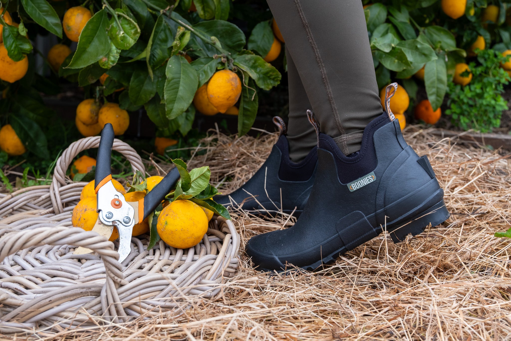 Rosie Low | Ankle Boots | Black